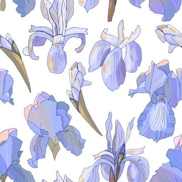Romantic floral seamless pattern with irises. Stock Illustration