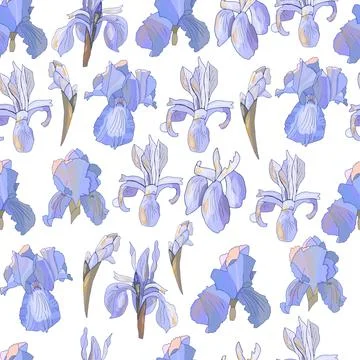 Romantic floral seamless pattern with irises. Stock Illustration