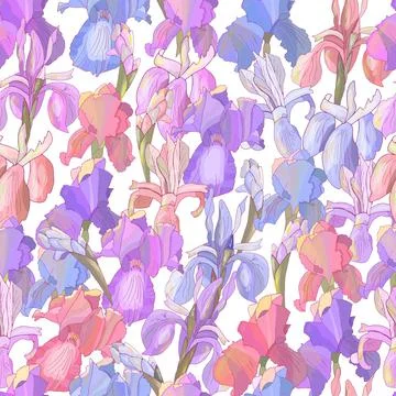 Romantic floral seamless pattern with irises on white. Stock Illustration