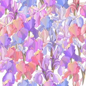Romantic floral seamless pattern with irises on white. Stock Illustration