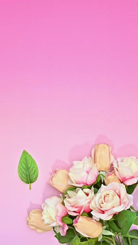 Romantic Flower Bouquet Stop Motion with Falling Leaf on pink background. Stock Footage 313053644