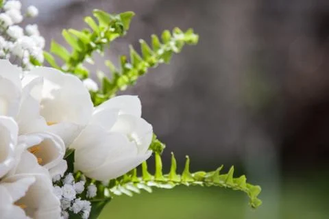 Romantic Flowers Stock Photos