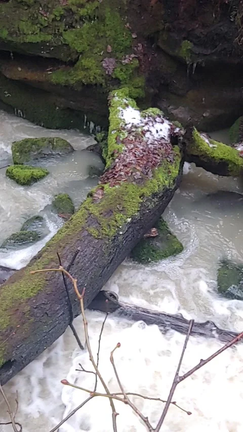 Romantic forest when it rains, with a stream and a small waterfall Stock Footage 147677735