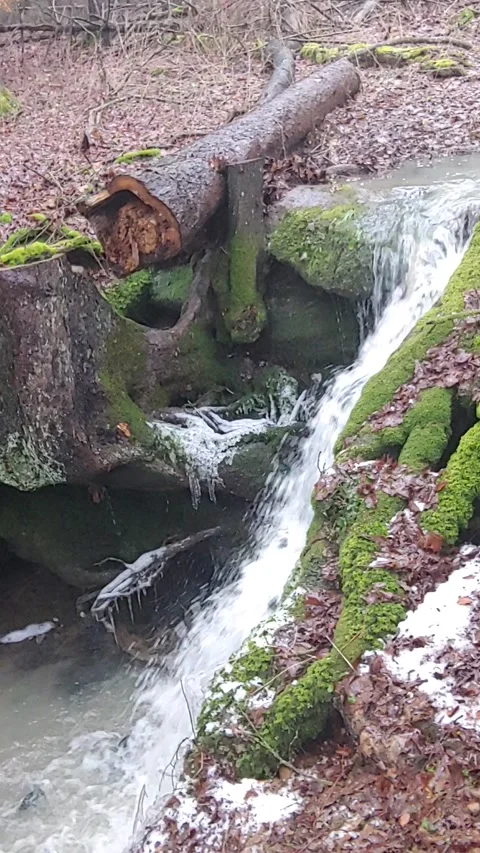 Romantic forest when it rains, with a stream and a small waterfall Stock Footage 147677758
