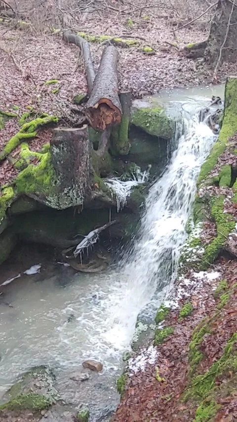 Romantic forest when it rains, with a stream and a small waterfall Stock Footage 147677816