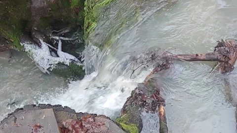 Romantic forest when it rains, with a stream and a small waterfall Stock Footage 147677849