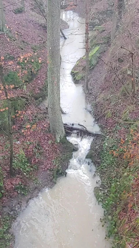 Romantic forest when it rains, with a stream and a small waterfall Stock Footage 147677932
