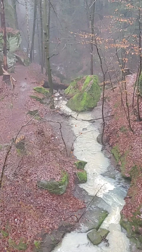 Romantic forest when it rains, with a stream and a small waterfall Stock Footage 147678011