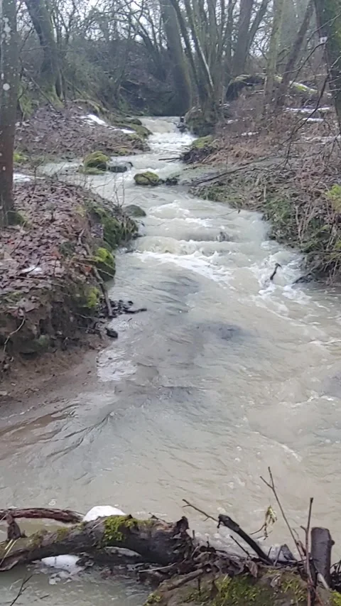 Romantic forest when it rains, with a stream and a small waterfall Stock Footage 147678020
