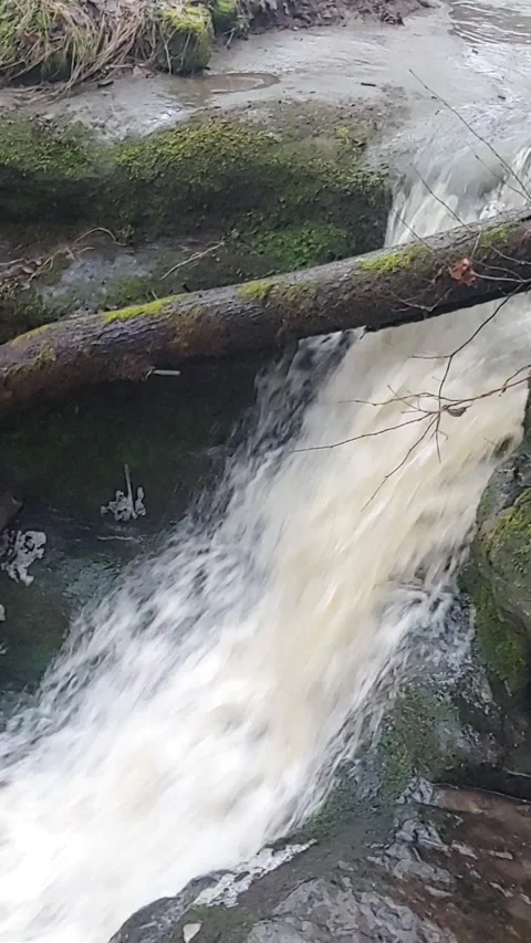 Romantic forest when it rains, with a stream and a small waterfall Stock Footage 147678058