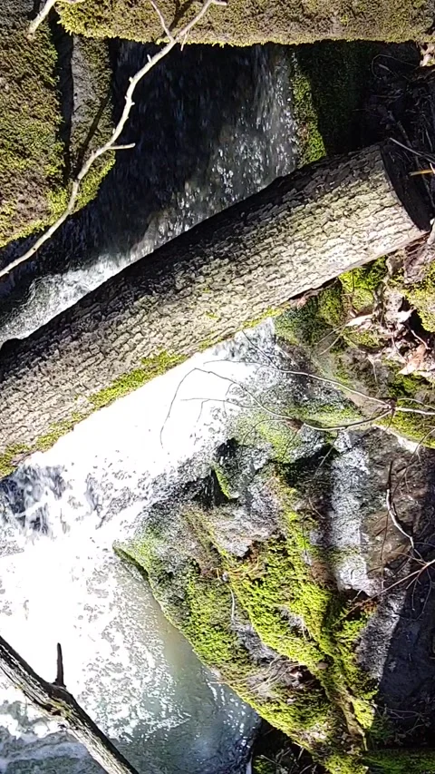 Romantic forest when it rains, with a stream and a small waterfall Stock Footage 148877971