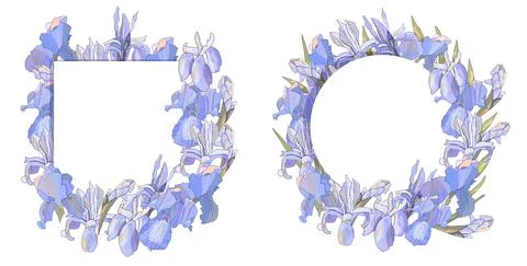 Romantic frames with irises. Vector hand drawn illustration Stock Illustration