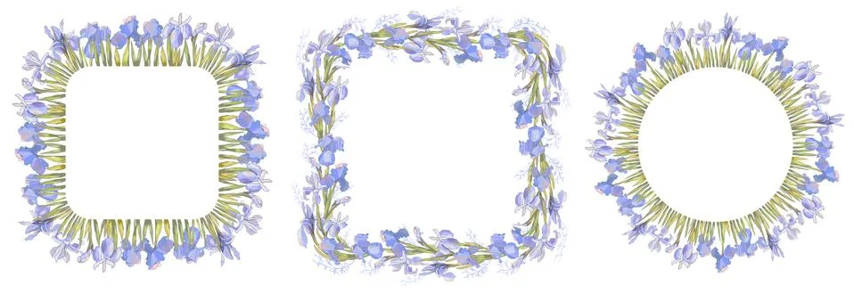 Romantic frames with irises. Vector hand drawn illustration for design gift b Stock Illustration