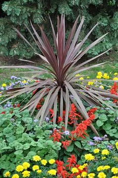 Romantic garden Stock Photos