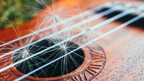 Romantic guitar strings close up, summertime, park. Playing guitar outdoor co Stock Photos
