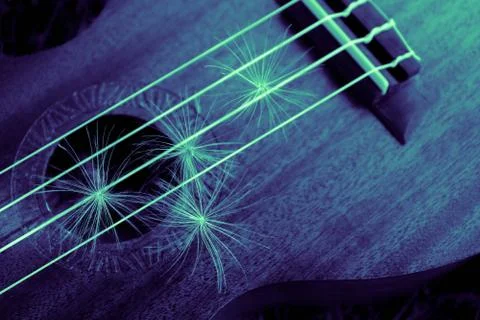 Romantic guitar strings close up, summertime, park. Playing guitar outdoor co Stock Photos