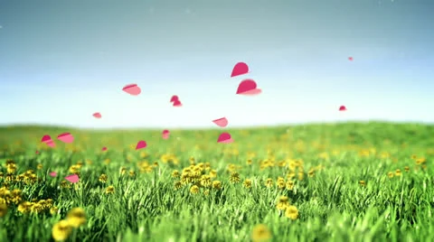 Romantic hearts Stock Footage 24783591