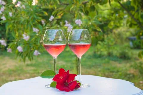 Romantic holiday composition. Two glasses of pink wine and red roses on white Stock Photos
