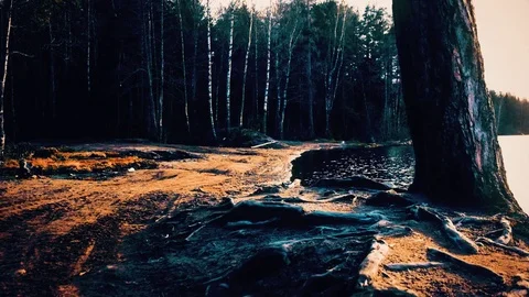 Romantic lake Stock Footage 76085717