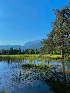 Romantic lake with tree reflection in green landscape, alps, Bavaria, Germany Stock Photos
