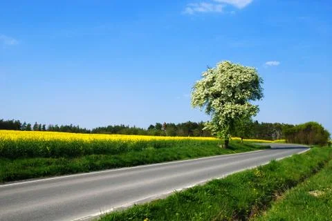 Romantic landscape Stock Photos