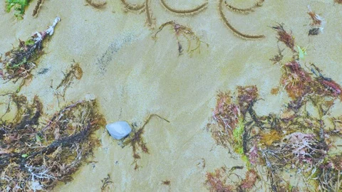 Romantic lovely decoration performance of writings on yellow sand Stock Footage 94595341