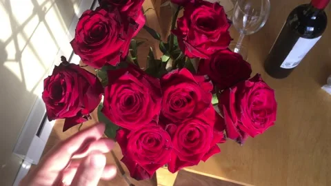 Romantic - Man Pulls Red Roses from Vase Vidéo 98013135