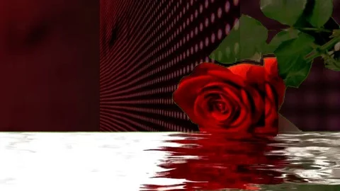 Romantic mood effects Stock Footage 120988071