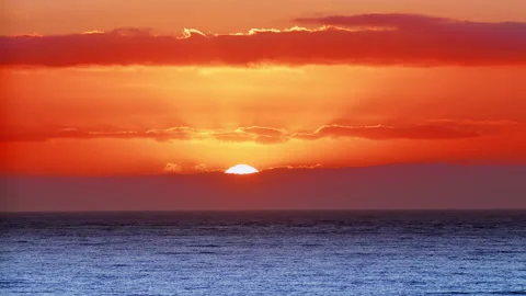 Romantic Morning. Stock Footage 151552348