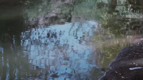 Romantic movement of the water surface. Stock Footage 254270300