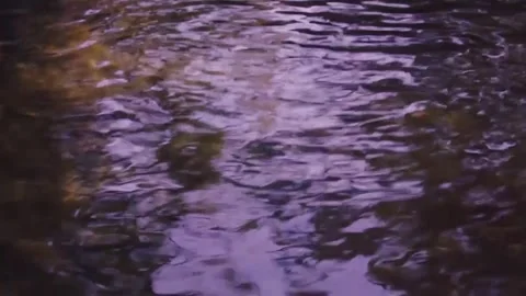 Romantic movement of the water surface. Stock Footage 254270302