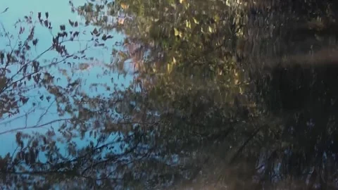 Romantic movement of the water surface. Stock Footage 254270354