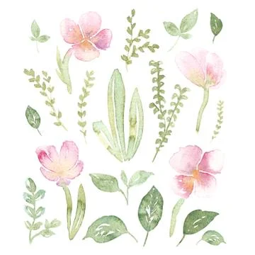 Romantic natural elements hand painted in watercolor Stock Illustration