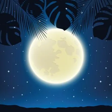 Romantic night background with full moon and palm tree leaves Illustrazione stock