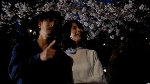 Romantic night walk through sakura trees in Japan 库存影片 106018280