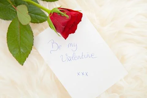 Romantic note with red rose Stock Photos