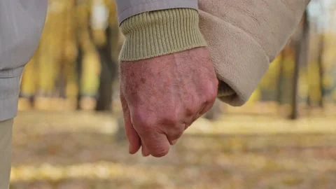 Romantic old couple Stock Footage 231249339