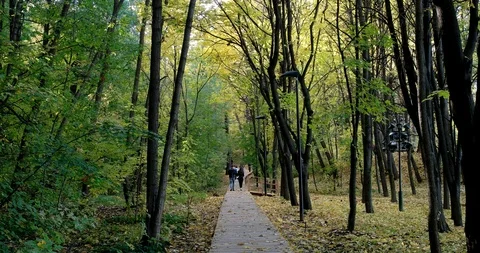 The romantic period Stock Footage 97450975