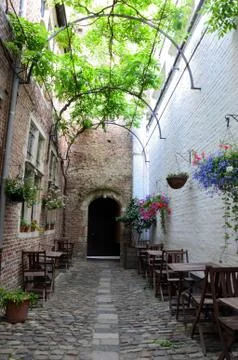 Romantic 写真素材