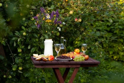 Romantic picnic table setting under apple tree in garden Stock Photos