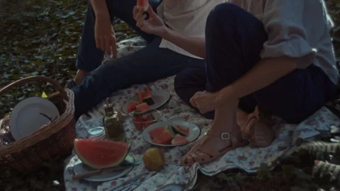 Romantic picnic under the trees with watermelon and sweet moments shared Vídeos de archivo 320027138