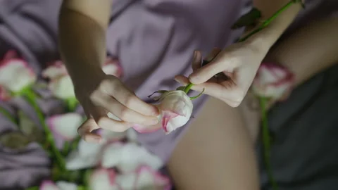 Romantic picture of preparing a date - tender hands and rose petals Stock Footage 151252609