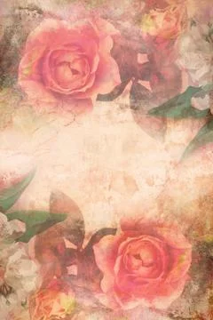 Romantic pink roses background Stock Illustration