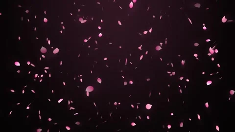 Romantic pink sakura petals falling down motion background Stock Footage 341106637