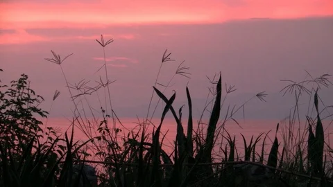 Romantic Pink Sunset on Lake Albert, Uganda, Africa Stock Footage 105101637