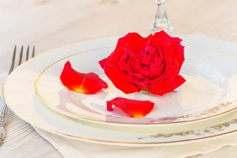 Romantic place setting for dinner: red rose on a white plates on a white na.. Stock Photos