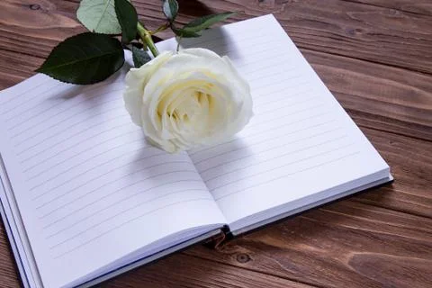 Romantic poetry. Empty notebook with white luxury rose Stock Photos