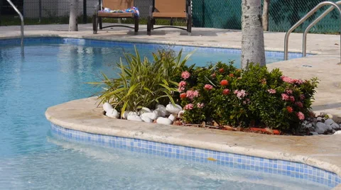 Romantic pool with flowers Stock Footage 63530864