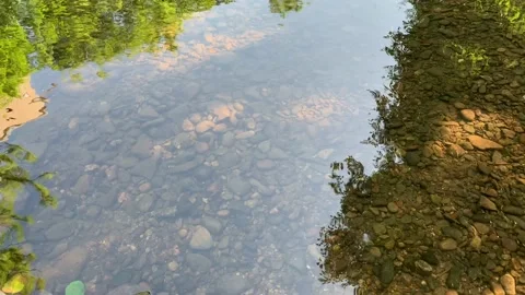 Romantic quiet brook in untouched nature Stock Footage 112140221
