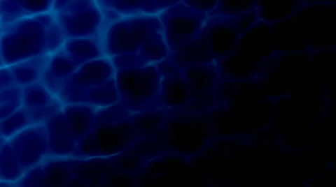 Romantic raindrops 스톡 동영상 401706